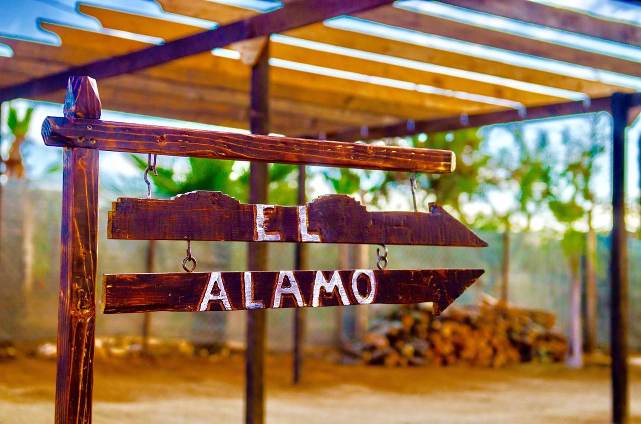 El Alamo Valle de Guadalupe Ngoại thất bức ảnh