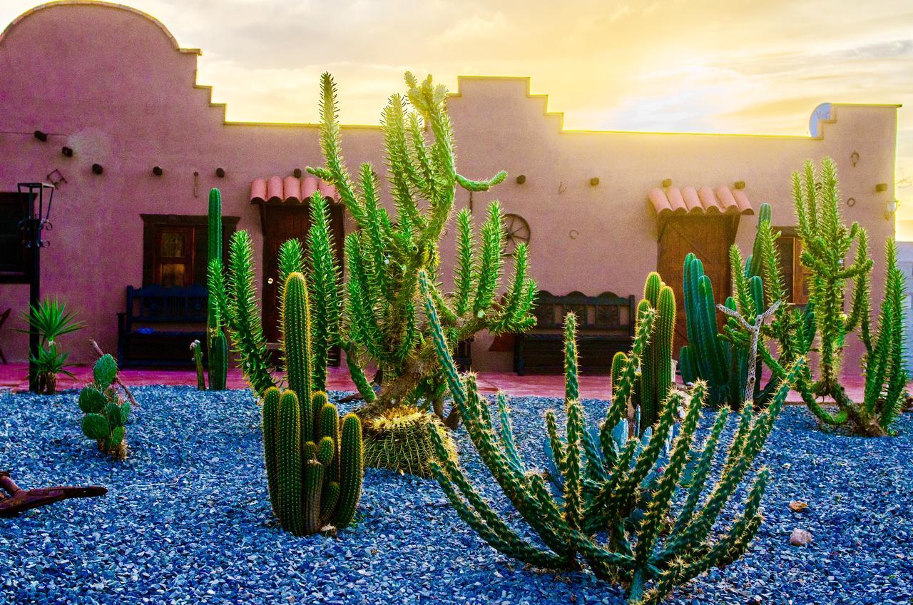 El Alamo Valle de Guadalupe Ngoại thất bức ảnh