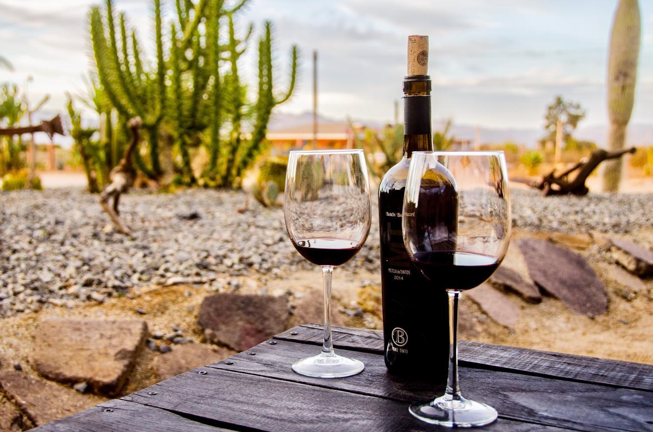 El Alamo Valle de Guadalupe Ngoại thất bức ảnh